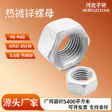 �ȶ�п������ĸ8.8�Ƚ�п��ĸ GB6170������ĸ��������������ĸ