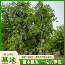 lԆľӘ䃞^@־G^䃞|ľ