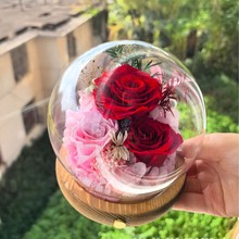 �������[������õ�����Ͳ����ֶYƷ���˹�ĸ�H���Y��羳��������