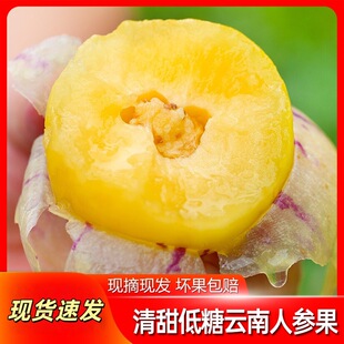 ���ʯ���˅������r�˅����߲��S��A�����������޹����]���r���l