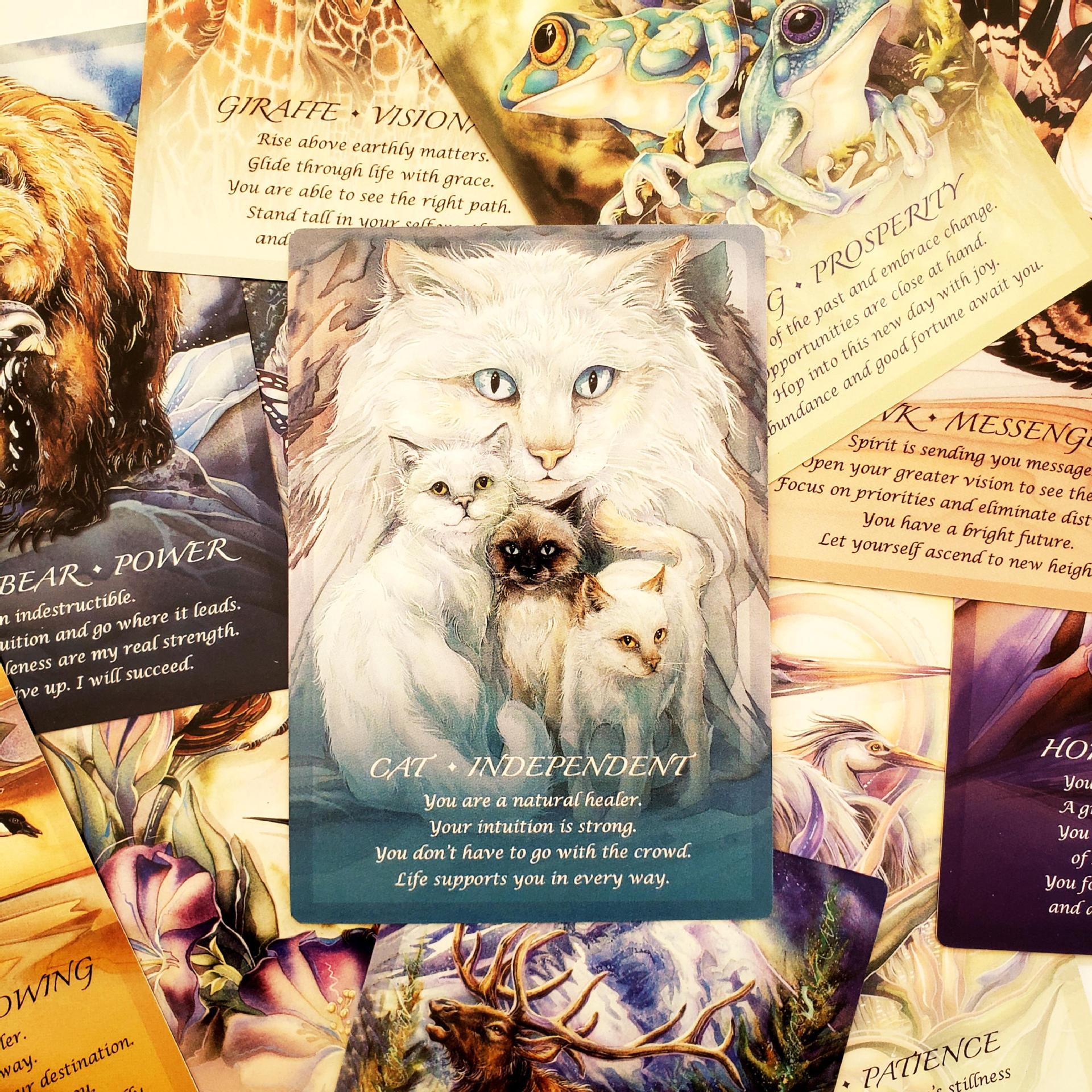 Spirit Of The Animals Orakel Deck Tierseele Gesellschaftsspiel_voghion.com