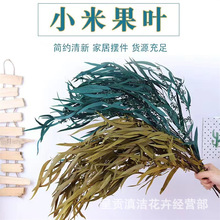 【永生小米果叶桉树叶】 永生花成品  干花花束 配材
