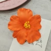 Orange (with hairpins)