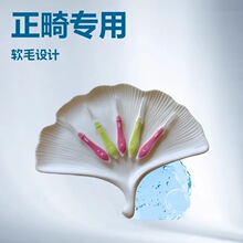 I�����gˢ���p�坍ˢ�������X�C��ܛë���gˢ�X�g�坍��϶ˢ�o��