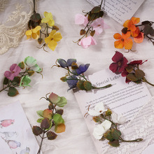 ������ɫ���Ѳ��~���ֹ�diy�����^��ϼٻ�����zӰ��ˇС�[��