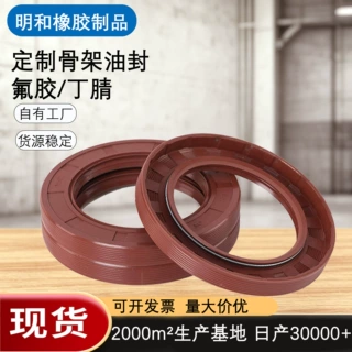 骨架油封橡胶密封圈定制丁腈氟胶耐高温耐磨油封TG4/TC/O型圈
