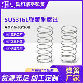 SUS316L弹簧耐腐蚀现货供应快速定制源头工厂高弹力