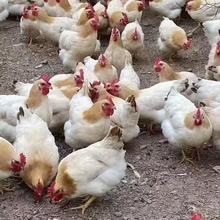 µĸuw߮aӻuŵuĸurɢBµu