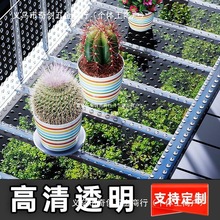 透明防盗窗垫板阳台防护网防猫掉防漏网窗户防坠网窗台防掉网阵果