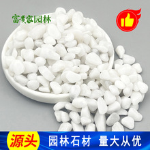 ��ɫˮϴʯ ���@�·͸ˮʯ���ϰ׵[ʯ4-6�zճ��ʯ���Mȡ��