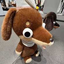 �¿�ɐ��D�c��ë�q���п�ͨ��ż�Ȍ��[���≺���Ů���Y��