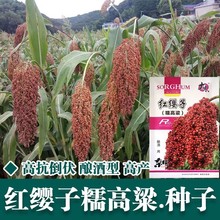 �t���ӼtŴ�����N�� ę́ᄾ�ԭ�� �߮a���� �����߮aᄾƸ�����
