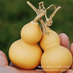 逸品の小さいヒョウタンの天然のヒョウタンの手は小さいヒョウタンの文を遊んでヒョウタンの置物のヒョウタンのペンダントのメーカーの卸売りを遊びます。