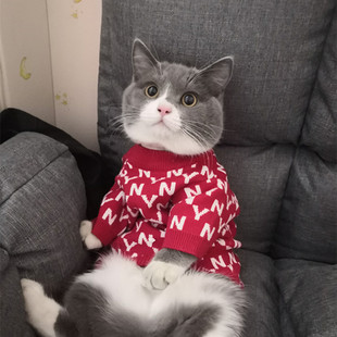 �����·�����ny̩�Ͽ»�����؈��^����ë���ﶬ���b���l����؈