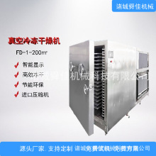 蛇果真空冻干机 供应10平方冷冻真空干燥机 陕西苹果脆片冻干机