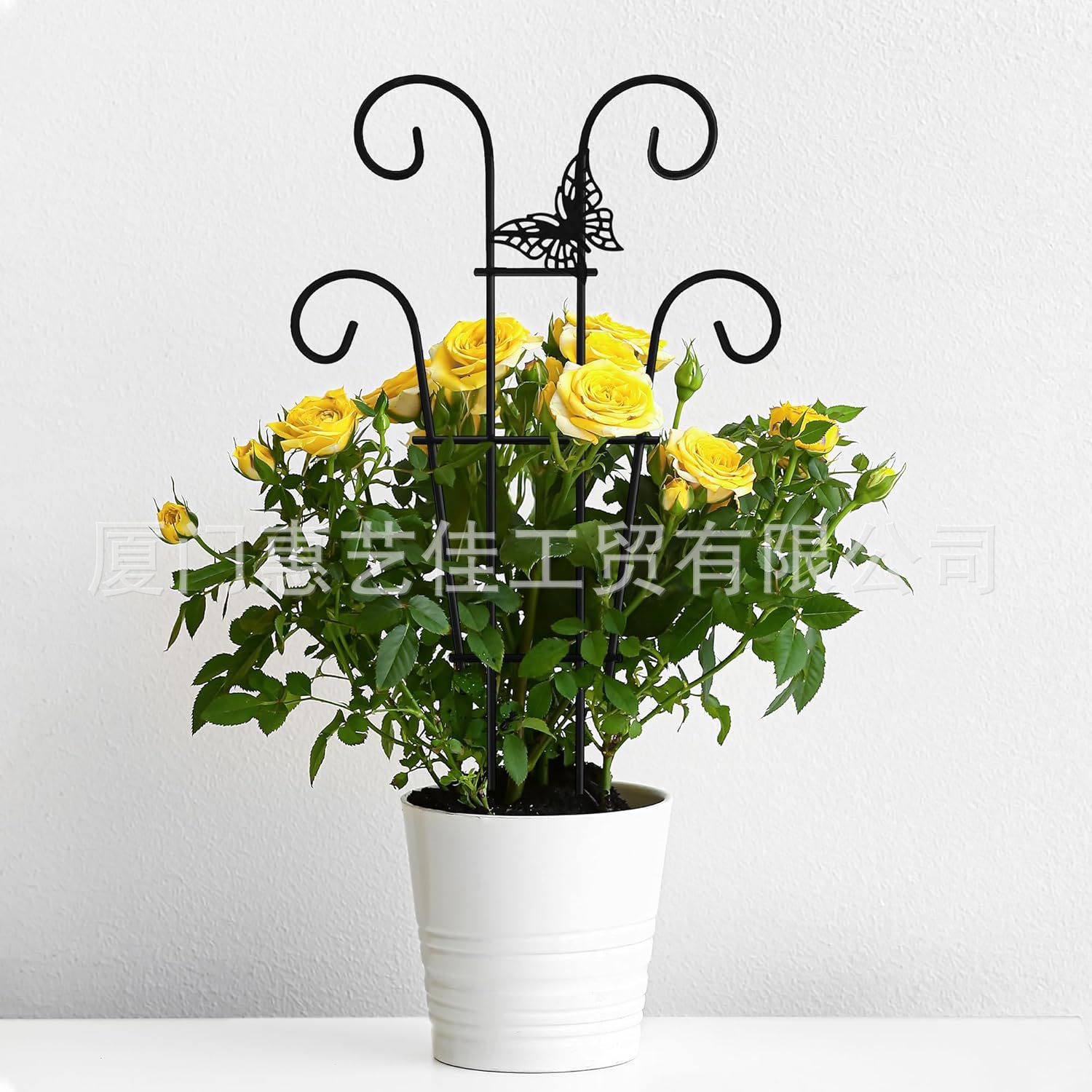铁艺植物支撑架小鸟龟背竹藤架跨境金属风格固定杆创意室内爬藤架
