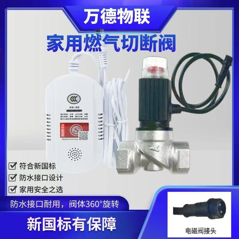 Gas Alarm Dn15 Electromagnetic Shut-Off Valve Set New National Standard Electromagnetic Valve Natural Gas Detection Alarm Valve