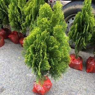 ���� �������� �҃����辰 ���͘�  ���໨�܈@ˇ�Nֲ �S���