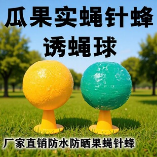 �Tω���ω��Ϲ���ω�T��������ᘷ������ճ�x��ճω���nω��