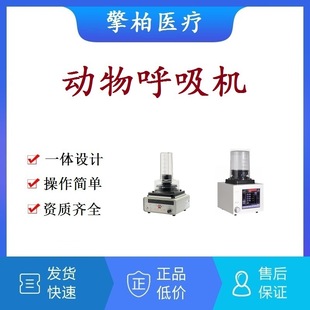 Pet Hospital Animal Ventilator Surgical Anesthesia Machine Pet Anesthesia Ventilator Cat Dog Rat Rabbit Veterinary Ventilator