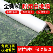 rðɫĤϱĤӺNֲϩϼرN˹