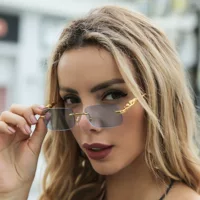 Декоративные безрамочные квадратные солнцезащитные очки Cheetah, красочные мужские и женские ретро-металлические солнцезащитные очки с головой леопарда, трансграничные очки 2572