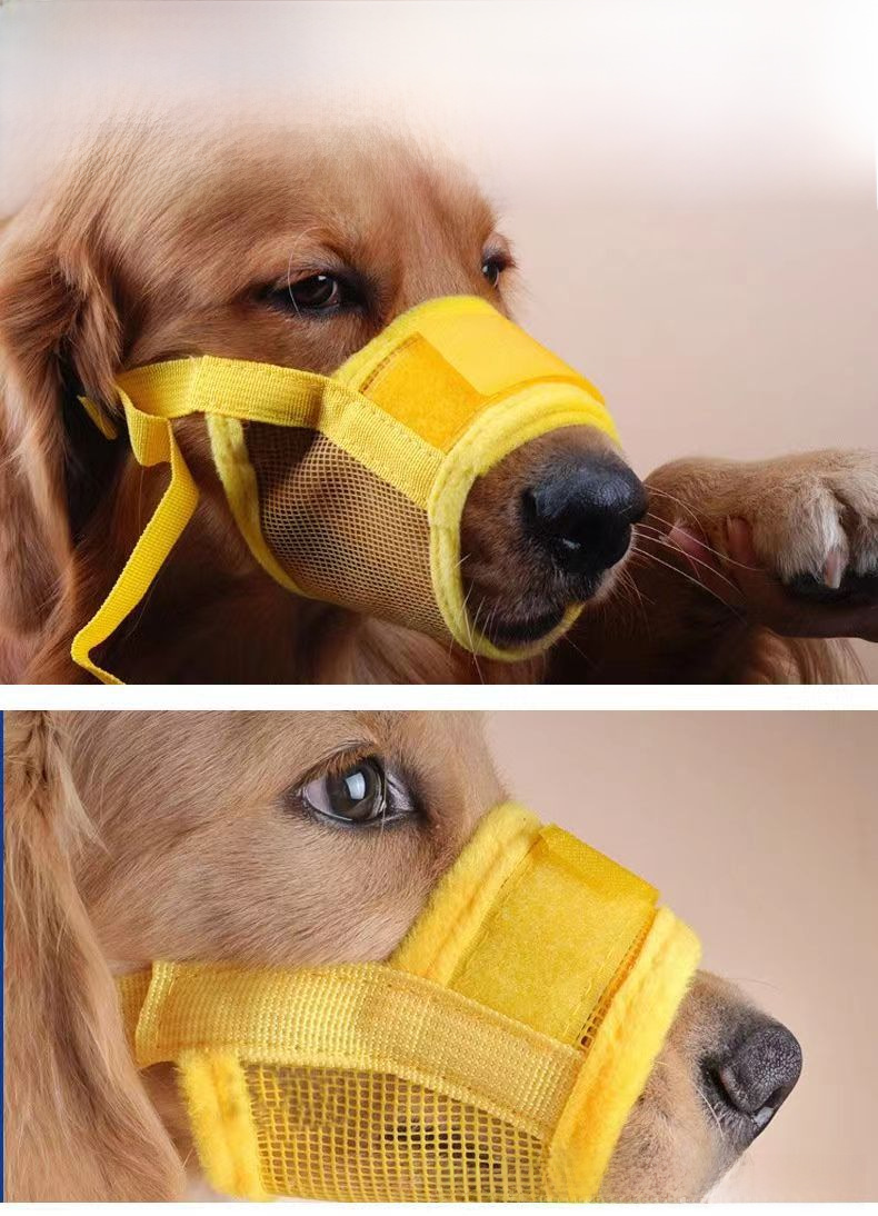 Pet Mouthpiece Image 2