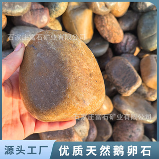 ׃�����Z��ʯ8-12cm�S��ֱ�N���B�|���쾰�·��ʯ�Ӵ�K����ʯ