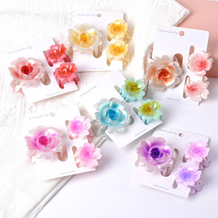 6cm+4cm�羳���s����Ů�l�A�����M��ץ�A�����l�l����Q���l؛Դ