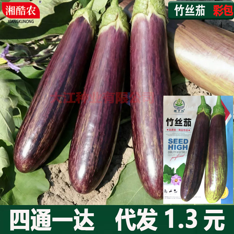 Spring and Autumn Bamboo Silk Eggplant Seeds, Glutinous Rice Eggplant Seeds, Golden Silk Local Eggplant Seeds, Garden Potted Plants, Four Seasons Vegetable Seeds Collection Spring and Autumn Bamboo Silk Eggplant Seeds, Glutinous Rice Eggplant Seeds, Golden Silk Local Eggplant Seeds, Garden Potted Plants, Four Seasons Vegetable Seeds Collection