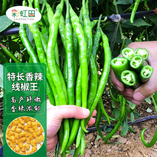 ���L�����������N���ļ����������N������߮a����������֧�ִ��l