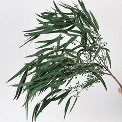 永生花小米葉桉樹葉乾花diy花材家居裝飾花束擺件生日派對用品花