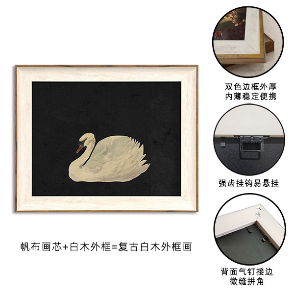 우아한 백조 (2) 외부 프레임 뒤