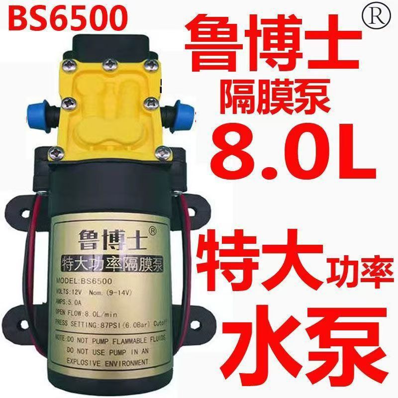 Dr. Lu/Huyue miniature electric diaphragm pump electric sprayer large flow 12V water pump car washer high pressure pump