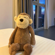 Ӣ��jellycatͬ����ż���к��ߺ��Ӵ�̖����ë�q��߶Y��Ů���Y��