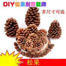 批发天然松果松塔干树枝原木干花幼儿园装饰挂饰环创布置儿童手工
