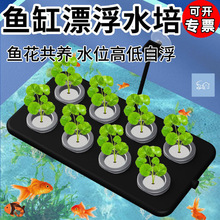 鱼缸漂浮种植板 鱼花共养自动升降定植篮 绿植造景水培架