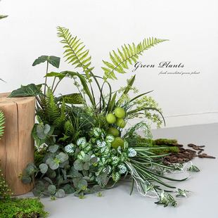 ɭϵDIY�쾰���ķ��滨�ٻ��bҾӾƵ��̈�ܛ�b�Gֲ�[�O��c��