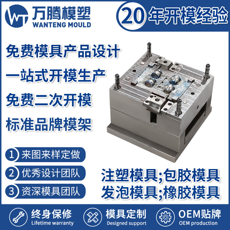 定制加工美容仪针头注塑模具WT2218 精密模具设计成型塑胶模具