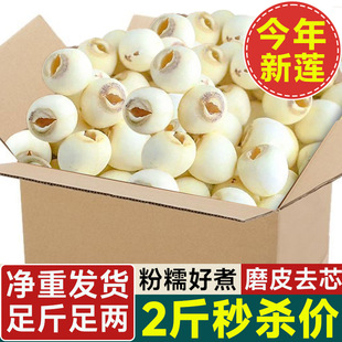 ���l؛����̶��ɏ�Ӹ�؛���rĥƤȥоɏ�Ӱٺ��y�������l����