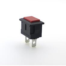 I_PPBS-101Դo_P ԏλoi tɫ21*15mmL