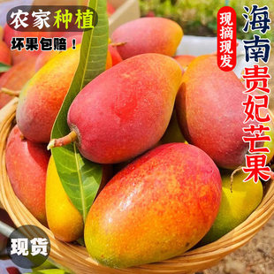 ���ں����F��â9�����r�Ꭷˮ���خa�������������Fժ����â��