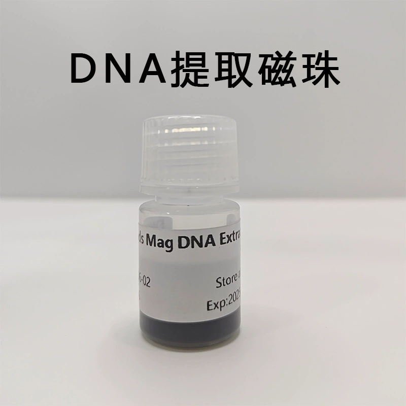 Магнитная микросфера ДНК Геномная экстракция нуклеиновой кислоты Кремниевая гидрокси-магнитная шарика PCR продукт очистки ДНК экстракция 1 мл