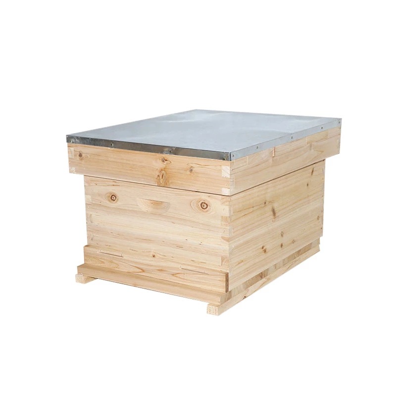 木制单层蜂箱杉木俄罗斯松新西兰松木蜂箱养蜂工具跨境批发