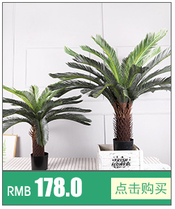 绿典植物关联_05.jpg