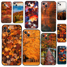 ~֙CO֙C 13 12 11 14 15 Pro XS Max XR XzO