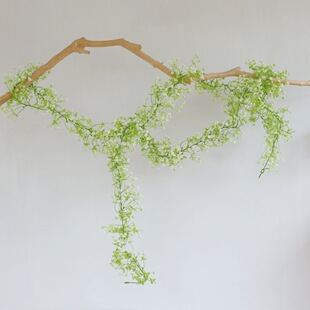 ����ֲ�������ܛ�ٝM���ǵ���Ʒ�p�@�ٻ������b��ٗl���ڴ�