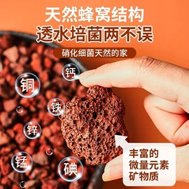 造景/装饰;栽培基质;沙石砾石