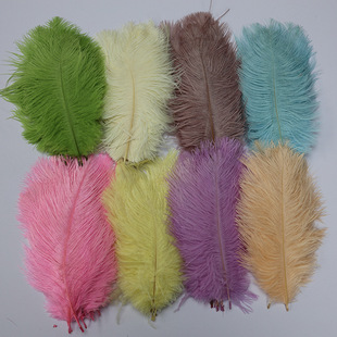 �S�����l��ɫ�r�Bë15-20cm�Ƶ��b�޼Ҿ��b[����c�r�B��ë