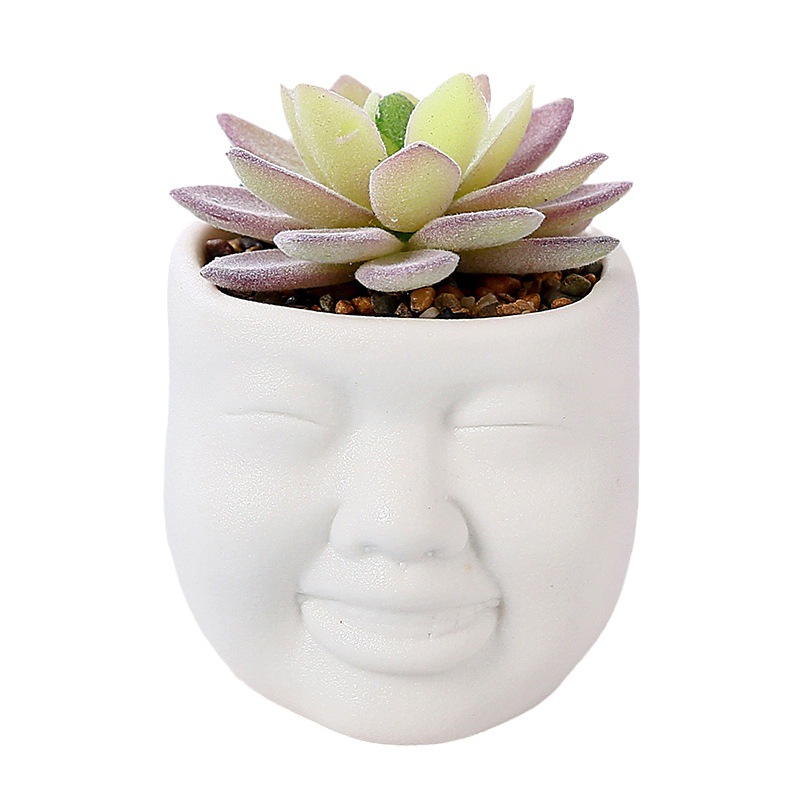 Maceta de cerámica estilo nórdico, para plantas suculentas de simulación – decoración creativa para salón, venta transfronteriza.
